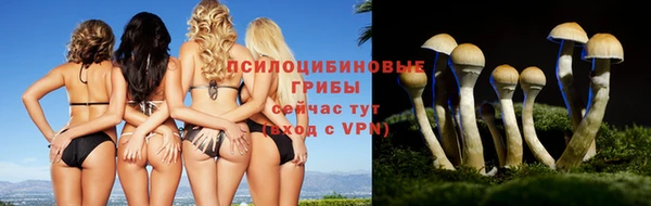 mix Новозыбков