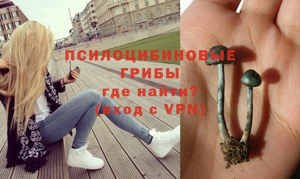 MDMA Premium VHQ Новодвинск