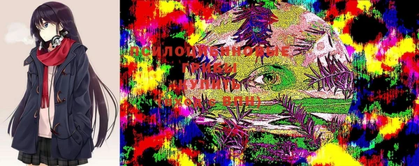mix Новозыбков